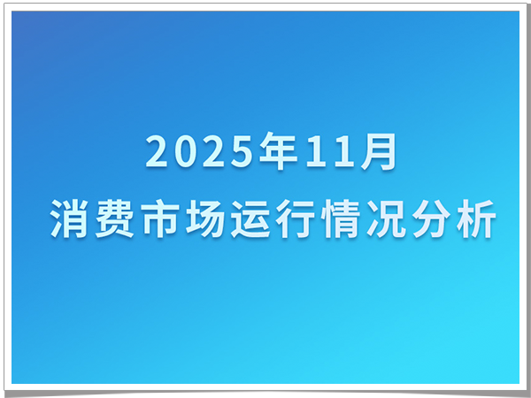 2025年11月消费市场运行情况分析